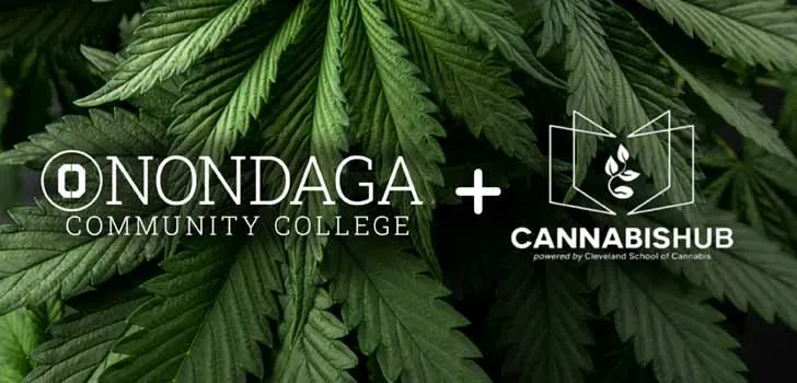Community college cannabis coursework