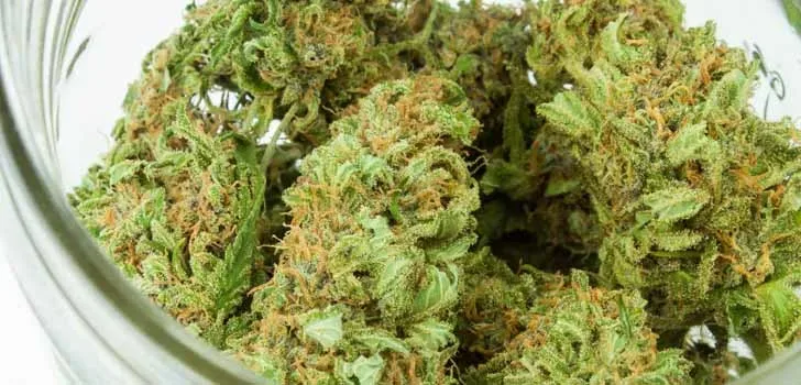 Zerenia has attained NHS reimbursement for cannabis-related treatment.